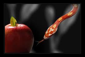 Serpent and the apple